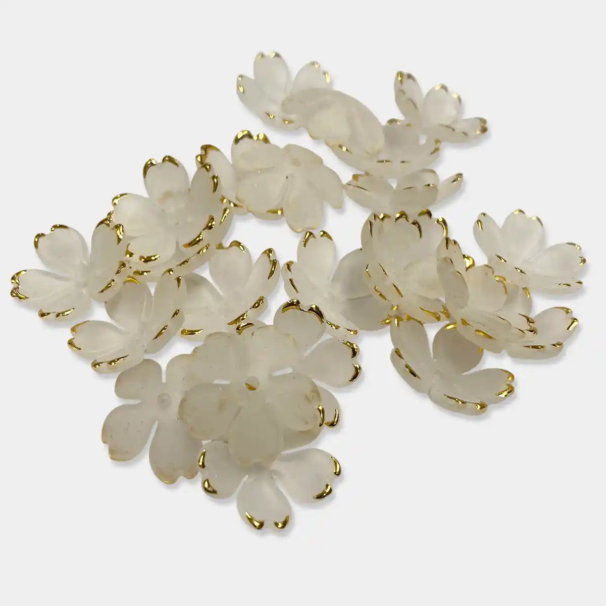 Transparent Flower with Gold Border Pack of 10 grams