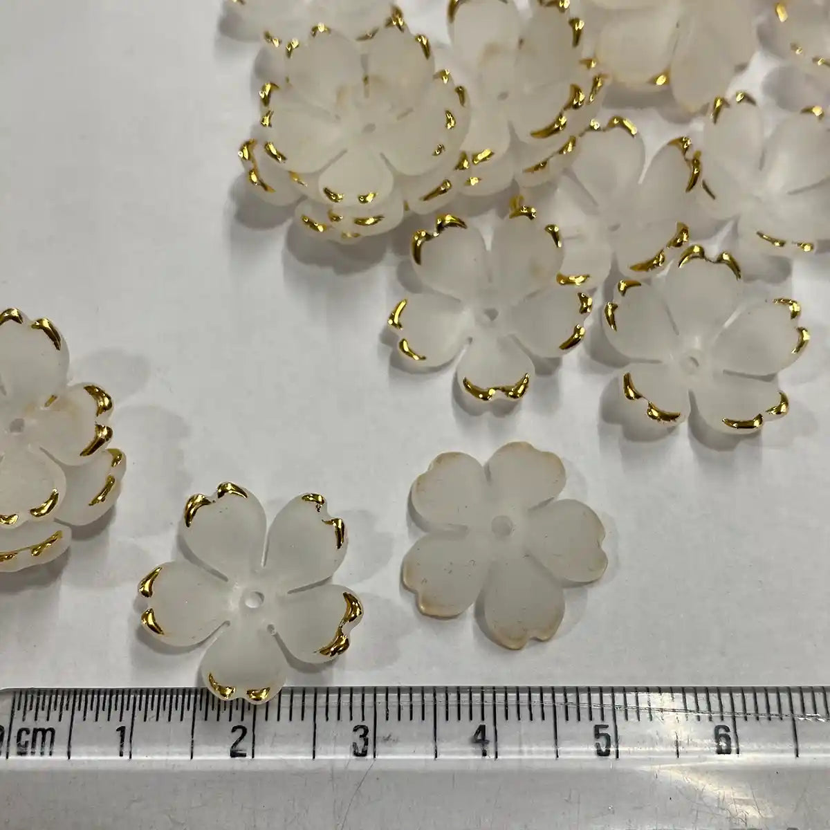 Transparent Flower with Gold Border Pack of 10 grams