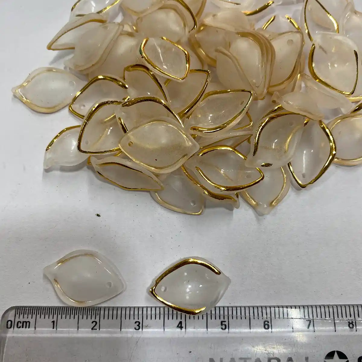 Transparent Petal with Gold Border Pack of 10 grams