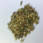 Glass Crystal Stone With Flower Catcher On Sew Multi Color 10X6MM 5Pieces