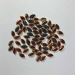 Glass Kundan Stones in Flat Back Mounts Eye Shape 8x5MM (Red)15grams
