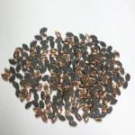 Kundan Stone Flat Back Framed Eye Shape 6mmX4mm Color Copper (25 Grams)