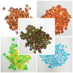 Flower Design Sequence Shiny Sequin for Brooches Design (10Grams)