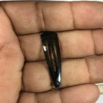 12 PCS Hair Tic Tac Clips - Black Color 1.5inch - Image 2